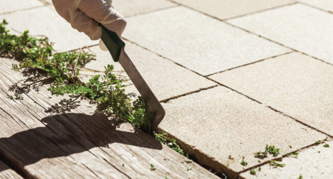 MAINTENANCE-FREE-GARDENS