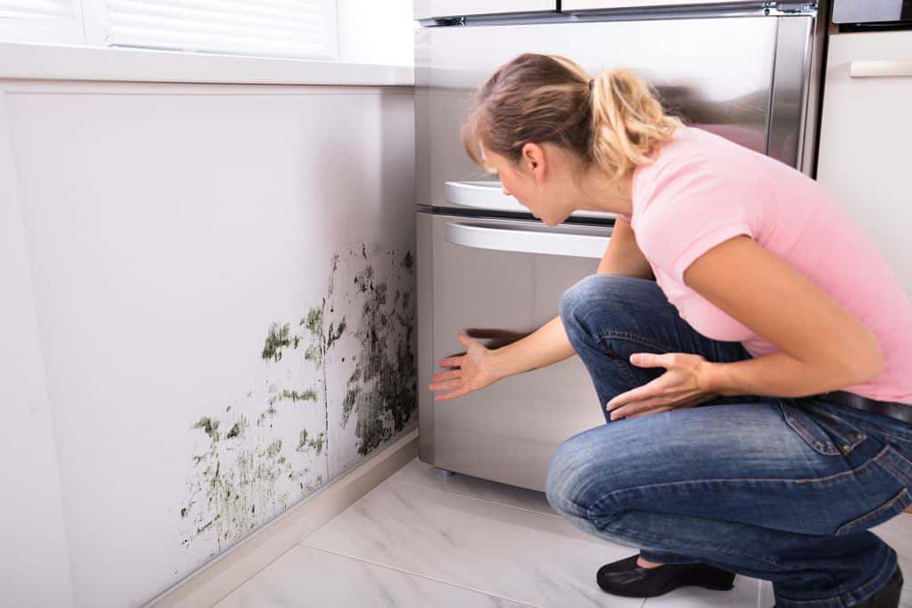 DAMP PROOFING